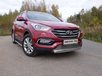 Защита передняя нижняя овальная короткая 75х42 мм Premium ТСС Тюнинг Hyundai (Хюндаи) Santa Fe (Санта)  DM (2015-2019) DM рестайлинг ()