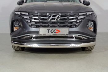 Защита передняя нижняя овальная с ДХО 75х42 мм ТСС Тюнинг Hyundai (Хюндаи) Tucson (Туссон)  NX4 (2020-2022) NX4  (нержавейка)