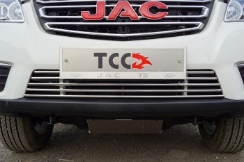 5 599 р. Декоративная вставка переднего бампера ТСС Тюнинг  JAC T6 (2018-2024) пикап (d 12 мм)  с доставкой в г. Москва. Увеличить фотографию 1