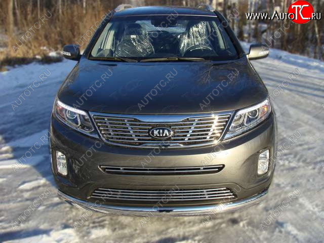 5 849 р. Нижняя декоративная вставка в бампер ТСС Тюнинг KIA Sorento XM рестайлинг (2012-2015) (d 12 мм)  с доставкой в г. Москва