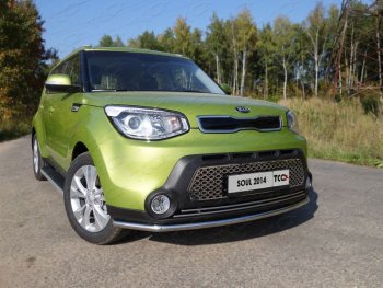 Защита переднего бампера нижняя d42,4 мм ТСС Тюнинг KIA Soul PS дорестайлинг (2014-2016)  (нержавейка)