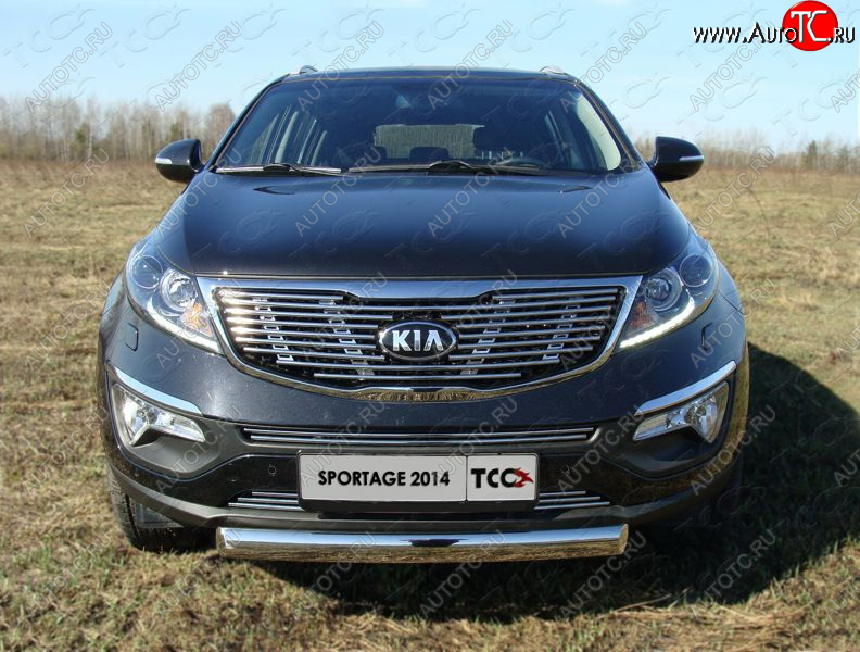 2 899 р. Средняя декоративная вставка в бампер ТСС Тюнинг  KIA Sportage  3 SL (2014-2016) рестайлинг (d 12 мм)  с доставкой в г. Москва