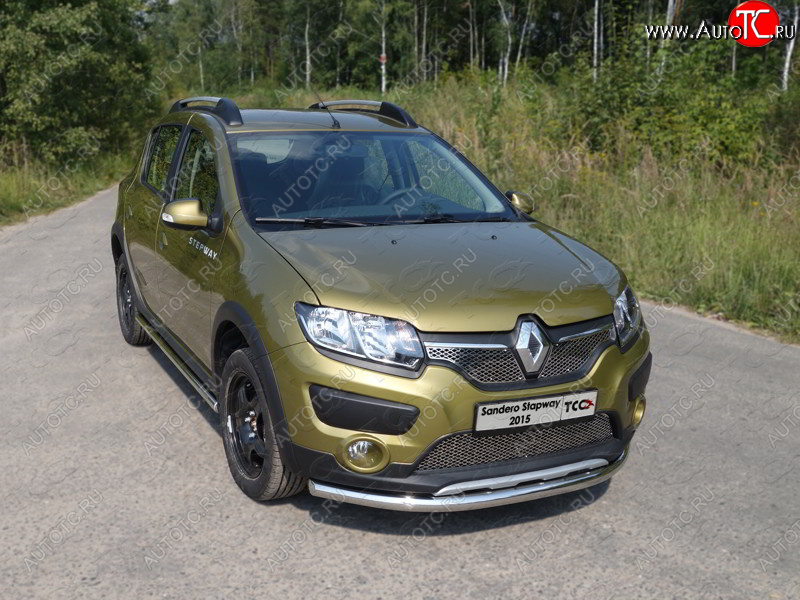 15 549 р. Защита переднего бампера нижняя d60,3 мм ТСС Тюнинг  Renault Sandero Stepway  (B8) (2014-2018) дорестайлинг (нержавейка)  с доставкой в г. Москва