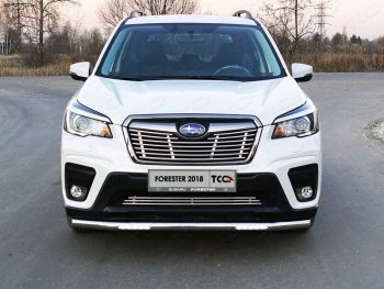 39 749 р. Защита переднего бампера нижняя с ДХО 60,3 мм ТСС Тюнинг Subaru Forester SK/S14 дорестайлинг (2018-2021) (нержавейка)  с доставкой в г. Москва. Увеличить фотографию 1