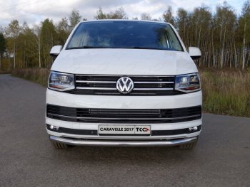 Защита переднего бампера нижняя d60,3 мм ТСС Тюнинг Volkswagen Caravelle T6 дорестайлинг (2015-2019) ()