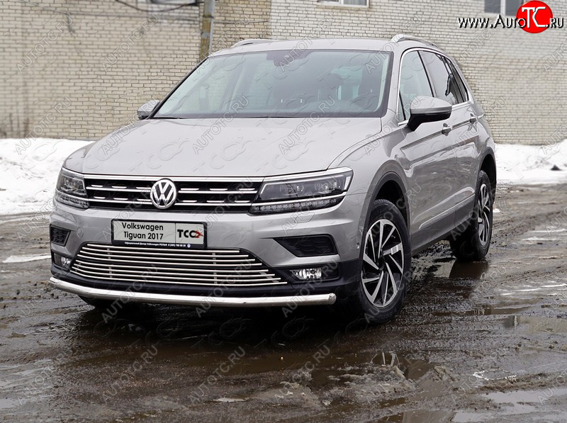 18 999 р. Защита переднего бампера нижняя d60,3 мм ТСС Тюнинг Volkswagen Tiguan Mk2 дорестайлинг (2016-2020) (нержавейка)  с доставкой в г. Москва