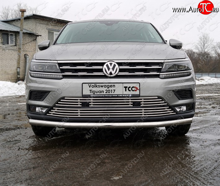 6 499 р. Верхняя декоративная вставка решетки радиатора ТСС Тюнинг Volkswagen Tiguan Mk2 дорестайлинг (2016-2020) (d 12 мм)  с доставкой в г. Москва