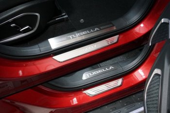 Накладки на пластиковые пороги, ТСС Тюнинг Geely (Джили) Tugella (тугелла)  FY11,HPBA4 (2019-2024) FY11,HPBA4 дорестайлинг, рестайлинг