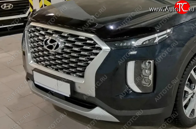 3 169 р. Дефлектор капота SIM Hyundai Palisade LX2 (2018-2022)  с доставкой в г. Москва