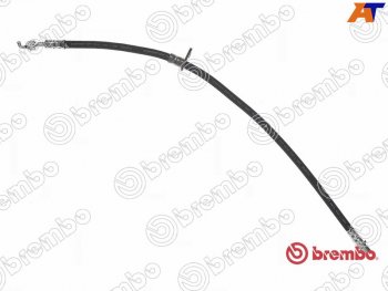 2 199 р. Шланг тормозной передний LH=RH BREMBO  Lexus ES300  XV30 (2001-2006), Toyota Camry  XV30 (2001-2006)  с доставкой в г. Москва. Увеличить фотографию 1