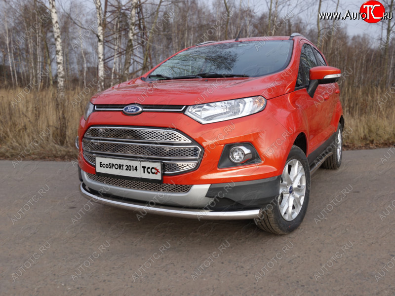 12 999 р. Защита переднего бампера нижняя d60,3 мм ТСС Тюнинг Ford EcoSport дорестайлинг (2013-2019) (нержавейка)  с доставкой в г. Москва