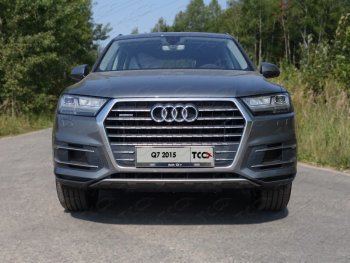 Рамка гос. номера ТСС Тюнинг Audi Q7 4M дорестайлинг (2015-2020) ()