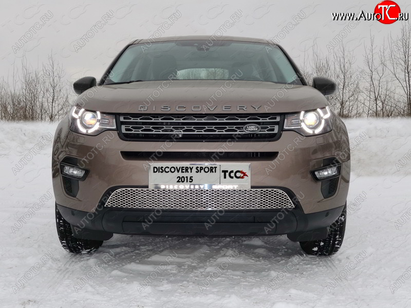 1 000 000 р. Рамка гос. номера ТСС Тюнинг Land Rover Discovery Sport L550 дорестайлинг (2014-2019) (нержавейка)  с доставкой в г. Москва