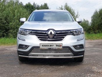 Рамка гос. номера ТСС Тюнинг Renault Koleos 2 (2016-2025) ()