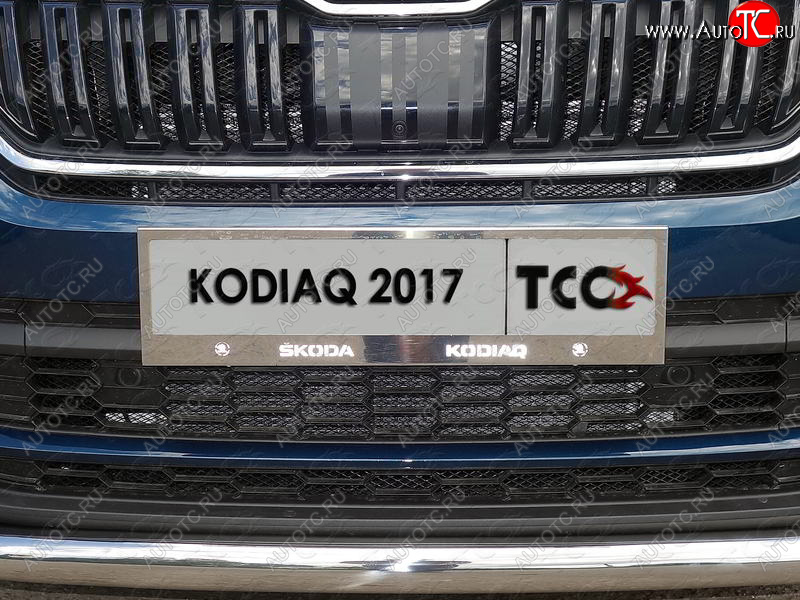 6 449 р. Рамка гос. номера ТСС Тюнинг Skoda Kodiaq NU7 дорестайлинг (2017-2021) (нержавейка)  с доставкой в г. Москва