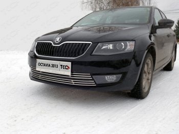 Рамка гос. номера ТСС Тюнинг Skoda Octavia A7 дорестайлинг лифтбэк (2012-2017) ()