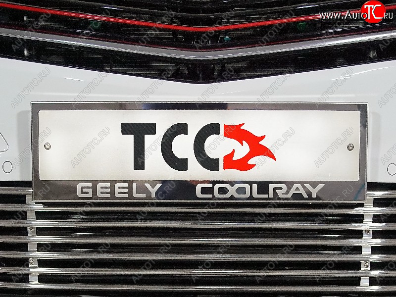 5 299 р. Рамка гос. номера ТСС Тюнинг  Geely Coolray  SX11 (2018-2023) дорестайлинг (нержавейка)  с доставкой в г. Москва