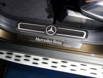 Накладки на пластиковые пороги ТСС Тюнинг Mercedes-Benz (Мерседес-Бенс) ML class (Мл)  W166 (2011-2015) W166 ()