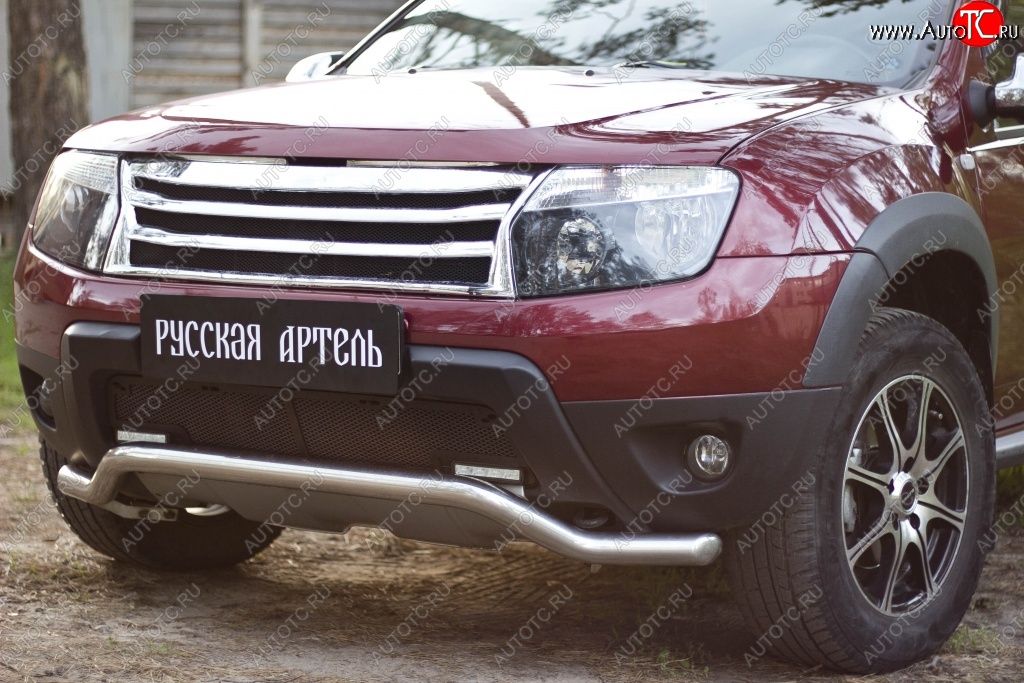 2 179 р. Защитная сетка решетки переднего бампера (c дхо и обвесом) РА Renault Duster HS дорестайлинг (2010-2015)  с доставкой в г. Москва