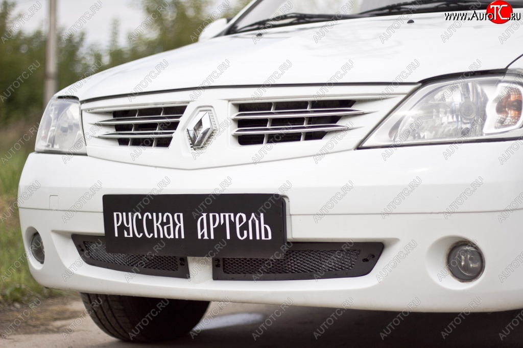 1 589 р. Защитная сетка решетки переднего бампера РА Renault Logan 1 дорестайлинг (2004-2010)  с доставкой в г. Москва