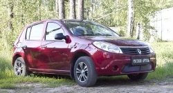 2 089 р. Защитная сетка решетки переднего бампера РА Renault Sandero (BS) (2009-2014)  с доставкой в г. Москва. Увеличить фотографию 3