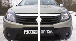 2 149 р. Защитная сетка решетки переднего бампера РА  Renault Sandero Stepway  (BS) (2010-2014)  с доставкой в г. Москва. Увеличить фотографию 2