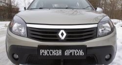 2 149 р. Защитная сетка решетки переднего бампера РА  Renault Sandero Stepway  (BS) (2010-2014)  с доставкой в г. Москва. Увеличить фотографию 3