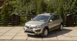 4 699 р. Молдинги дверей RA (комплект) Renault Sandero (B8) дорестайлинг (2014-2018) (Поверхность глянец (под окраску), Неокрашенные)  с доставкой в г. Москва. Увеличить фотографию 2