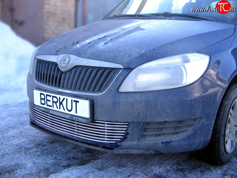 5 899 р. Декоративная вставка воздухозаборника Berkut Skoda Fabia Mk2 универсал дорестайлинг (2007-2010)  с доставкой в г. Москва