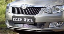 Защитная сетка решетки переднего бампера РА Skoda Fabia Mk2 хэтчбэк рестайлинг (2010-2014)