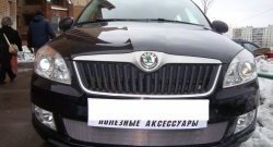 1 539 р. Сетка на бампер (рестайлинг) Russtal (хром) Skoda Fabia Mk2 универсал дорестайлинг (2007-2010)  с доставкой в г. Москва. Увеличить фотографию 2