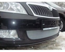 Сетка на бампер (рестайлинг) Russtal (хром) Skoda Fabia Mk2 универсал дорестайлинг (2007-2010)