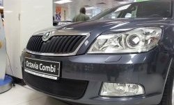 1 469 р. Сетка на бампер Russtal (черная) Skoda Octavia A5 рестайлинг универсал (2008-2013)  с доставкой в г. Москва. Увеличить фотографию 2