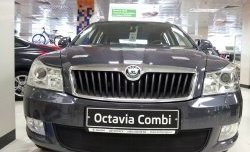 1 469 р. Сетка на бампер Russtal (черная) Skoda Octavia A5 рестайлинг универсал (2008-2013)  с доставкой в г. Москва. Увеличить фотографию 3