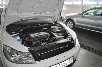 Упоры капота Russtal Skoda Octavia A5 дорестайлинг универсал (2004-2008) ()