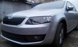 2 569 р. Сетка (для комплектации Ambition, Elegance) на бампер Russtal (черная)  Skoda Octavia  A7 (2012-2017) дорестайлинг лифтбэк, дорестайлинг универсал  с доставкой в г. Москва. Увеличить фотографию 2