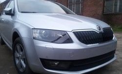 2 569 р. Сетка (для комплектации Ambition, Elegance) на бампер Russtal (черная)  Skoda Octavia  A7 (2012-2017) дорестайлинг лифтбэк, дорестайлинг универсал  с доставкой в г. Москва. Увеличить фотографию 3