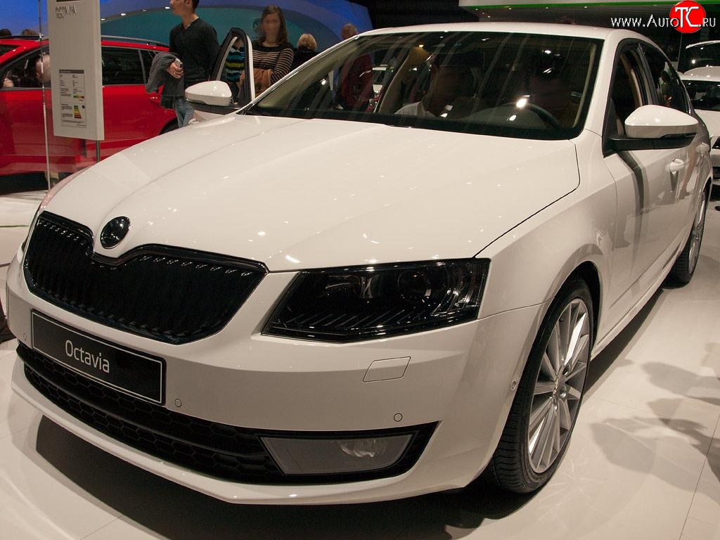 2 569 р. Сетка (для комплектации Ambition, Elegance) на бампер Russtal (черная)  Skoda Octavia  A7 (2012-2017) дорестайлинг лифтбэк, дорестайлинг универсал  с доставкой в г. Москва