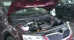 Газовые упоры капота Berkut Skoda Octavia A7 дорестайлинг лифтбэк (2012-2017)