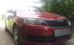 2 339 р. Сетка на бампер Russtal (черная)  Skoda Rapid ( NH3,  NH1) (2012-2017) дорестайлинг лифтбэк, хэтчбэк дорестайлинг  с доставкой в г. Москва. Увеличить фотографию 3