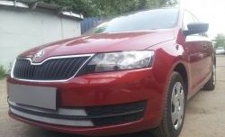 2 399 р. Сетка на бампер Russtal (хром) Skoda Rapid NH1 хэтчбэк дорестайлинг (2012-2017)  с доставкой в г. Москва. Увеличить фотографию 4