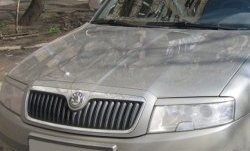 1 649 р. Реснички на фары CT Skoda Superb седан 3U дорестайлинг (2001-2006) (Неокрашенные)  с доставкой в г. Москва. Увеличить фотографию 2