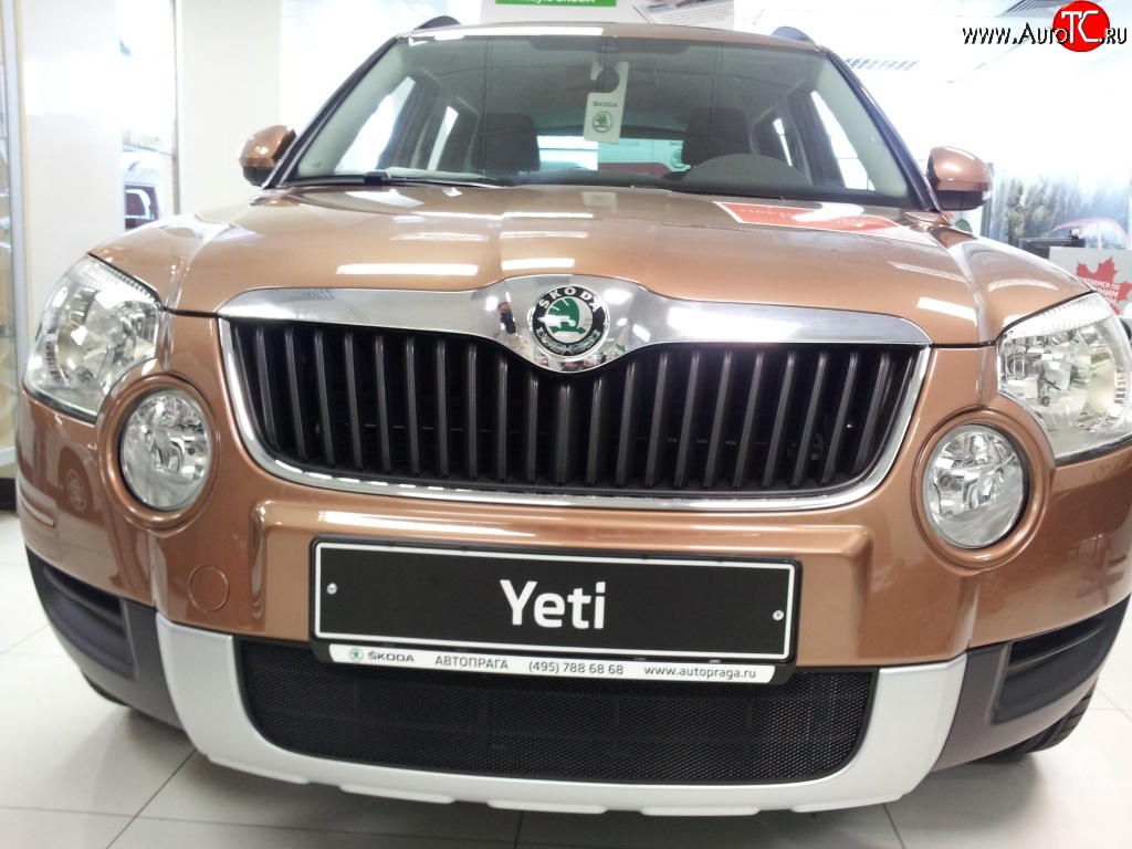 1 469 р. Сетка на бампер Russtal (черная) Skoda Yeti (2009-2013)  с доставкой в г. Москва