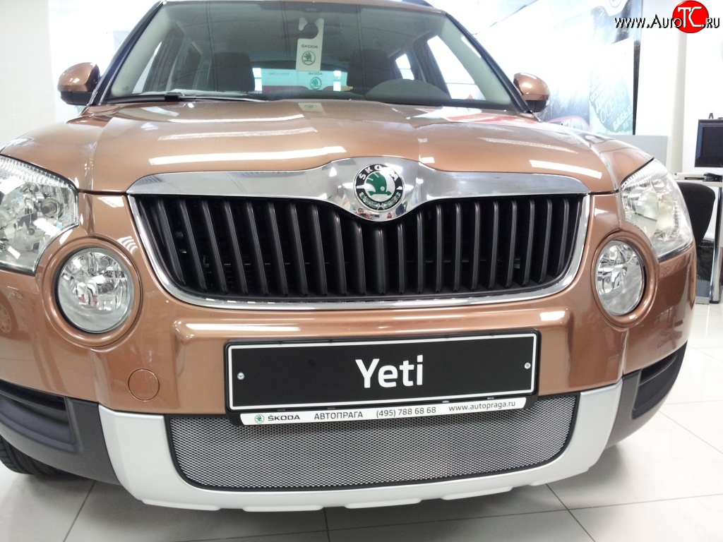 2 199 р. Сетка на бампер Russtal (хром) Skoda Yeti (2009-2013)  с доставкой в г. Москва