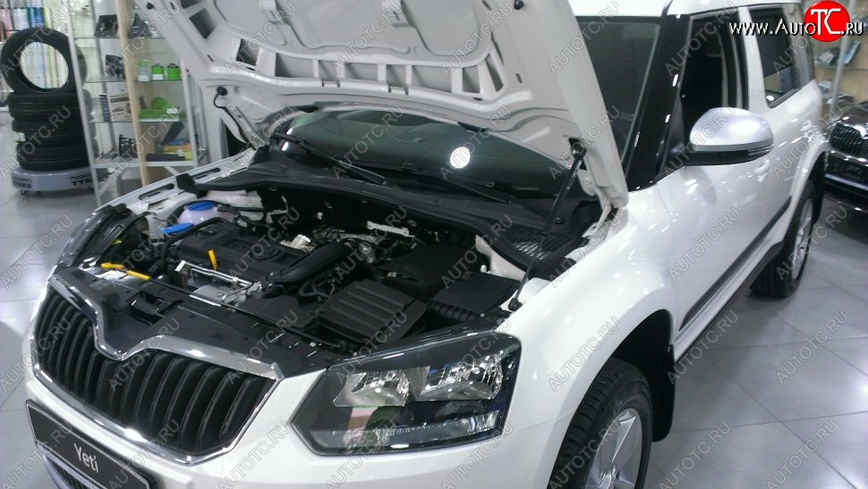 2 199 р. Газовый упор капота Berkut Skoda Yeti (2009-2013)  с доставкой в г. Москва