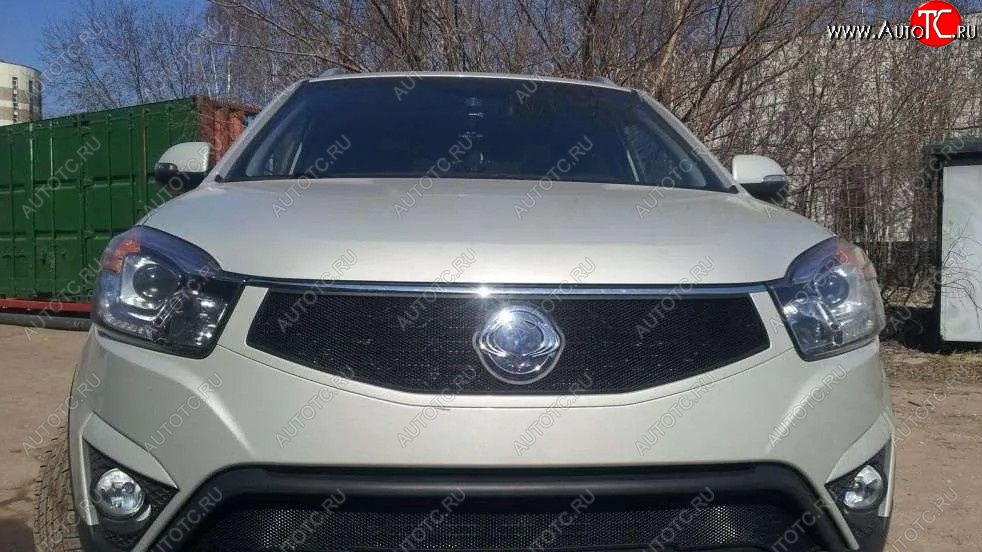 1 469 р. Защитная сетка в решетку радиатора Russtal  SSANGYONG Actyon (2013-2021) рестайлинг  с доставкой в г. Москва