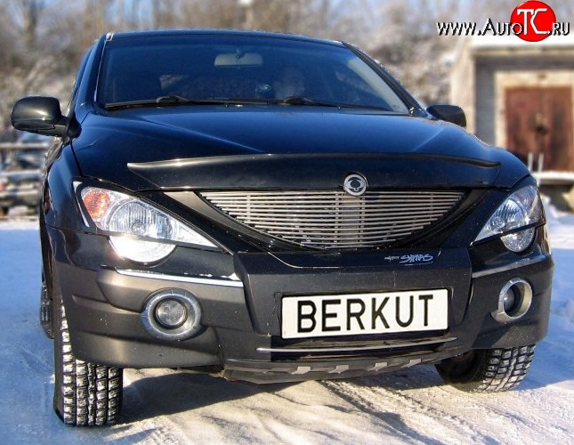 5 999 р. Декоративная вставка решетки радиатора Berkut SSANGYONG Actyon Sport (2006-2011)  с доставкой в г. Москва