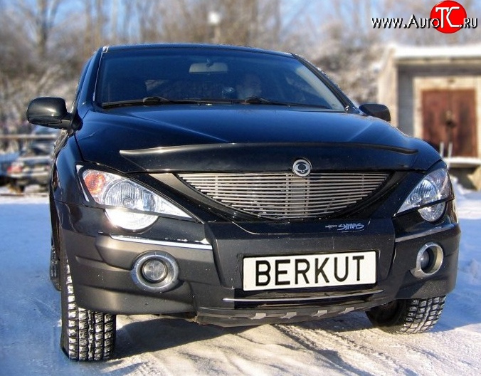 5 999 р. Декоративная вставка решетки радиатора Berkut SSANGYONG Actyon 1 (2006-2010)  с доставкой в г. Москва