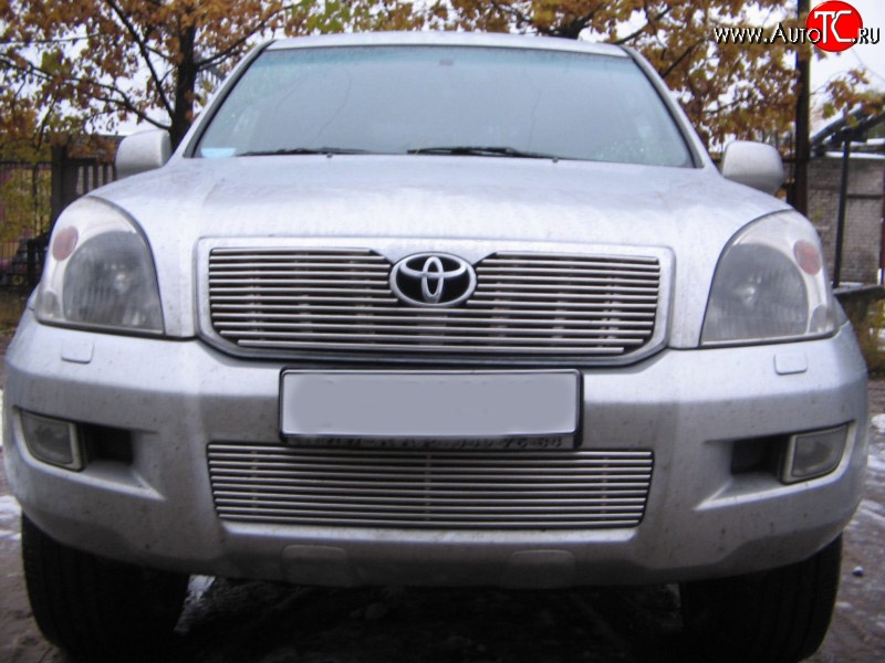 4 399 р. Декоративная вставка воздухозаборника Berkut Toyota Land Cruiser Prado J120 (2002-2009)  с доставкой в г. Москва