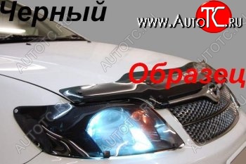 2 079 р. Защита фар (J120-J125) CA-Plastic  Toyota Land Cruiser Prado  J120 (2002-2009) (Classic черный)  с доставкой в г. Москва